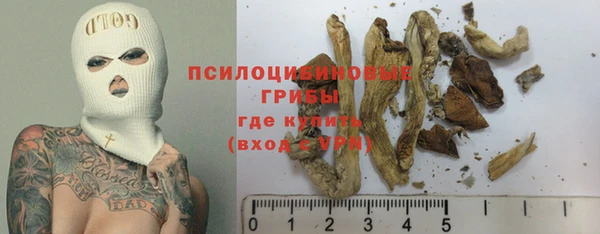 дмт Горняк