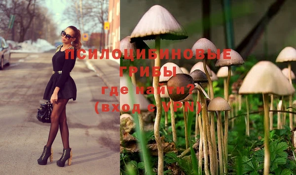 каннабис Горнозаводск
