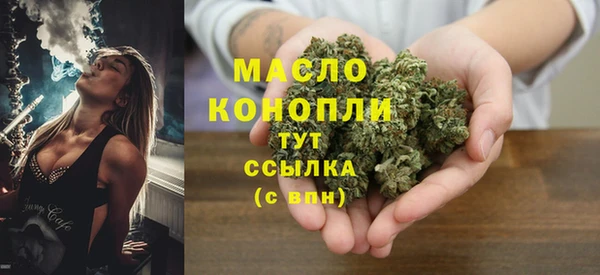 дмт Горняк