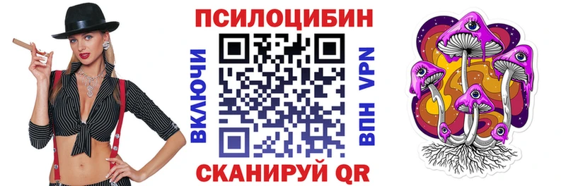 Псилоцибиновые грибы Psilocybe  Елец 